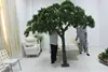 indoor small pine tree interior decor plastic tree display