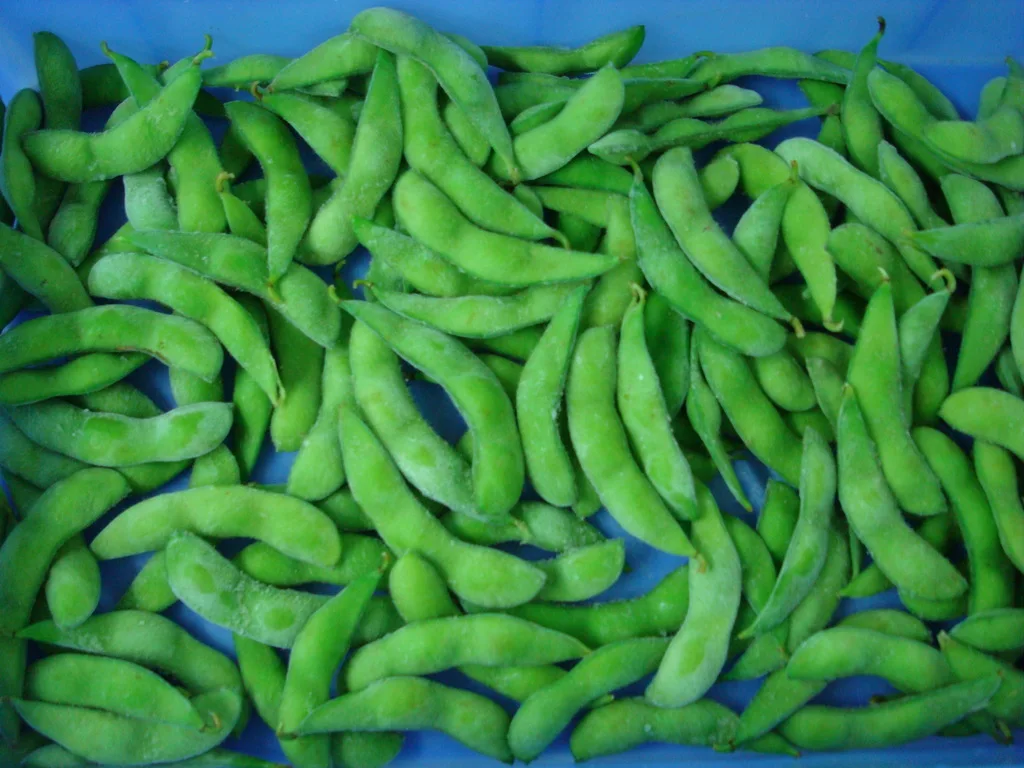 
New Crop Organic IQF Soybeans Frozen Edamame 
