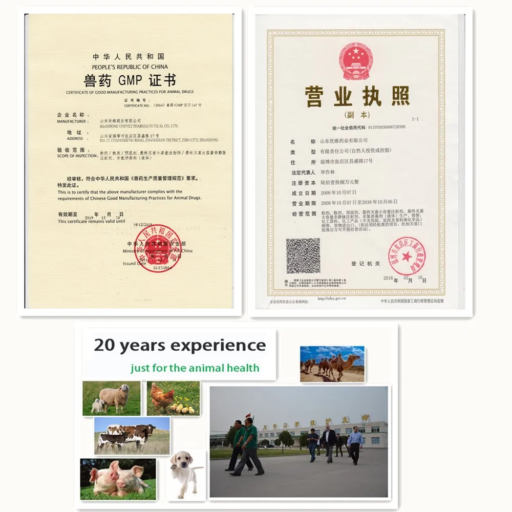 
gmp antibiotic analgesic medicine injection 5% diclofenac sodium 