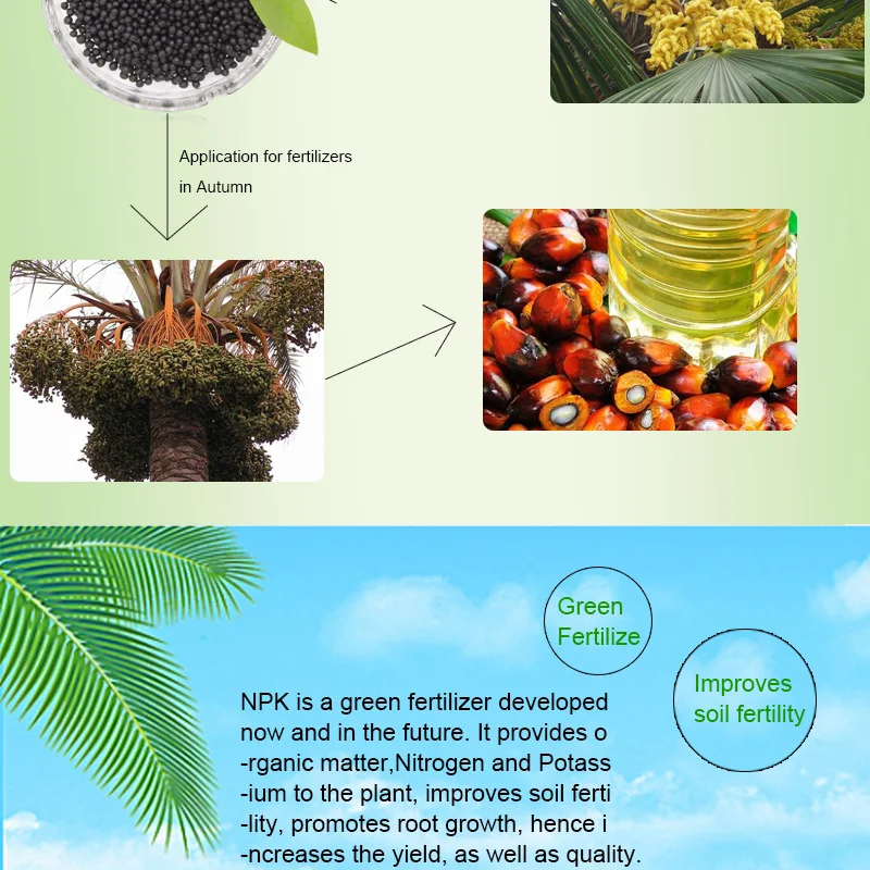 organic fertilizer npk12-3-3 for palm tree