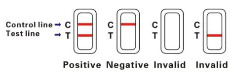 test chlamydia rapid antigen step cassette