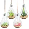 Hanging Stand-able 4 Pack Artificial Succulent Plants Artificial Succulents Potted Plants Artificial Plants Hanging Terrarium