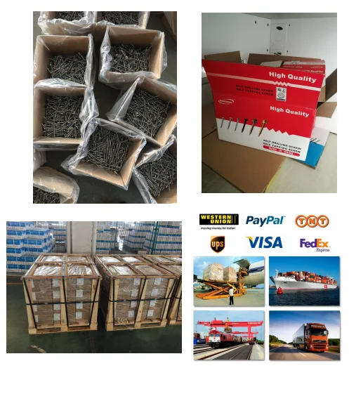 paste-pic-dp_uuid_z7w7q