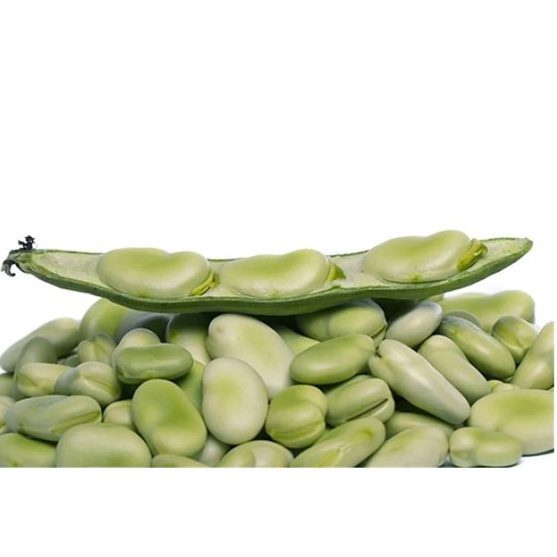 
IQF frozen broad beans with best quality and hot price 