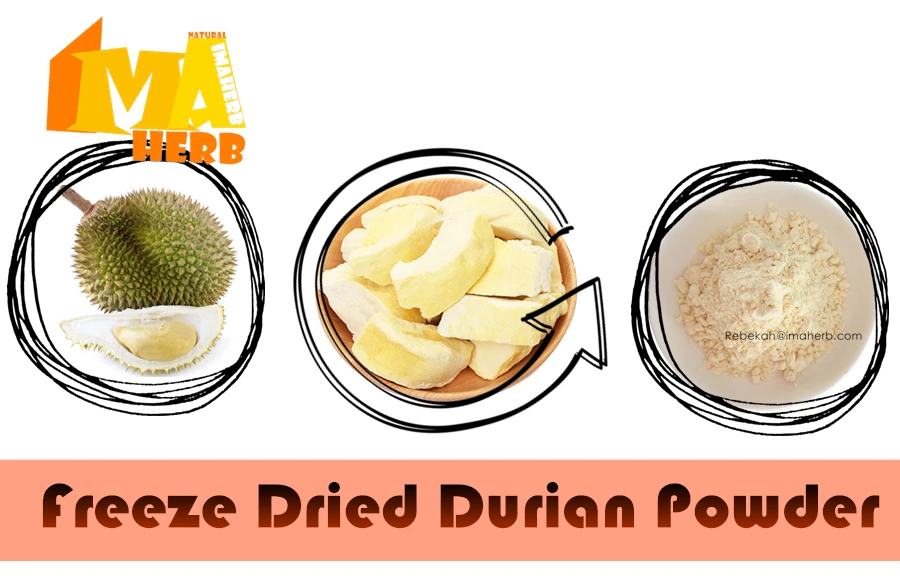 Oem Best Price 100 Natural Freeze Dried Fig Fruit Powder In Bulk With