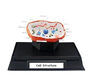 Woodland Scenics Scene-A-Rama Cell Structure Classroom Pack
