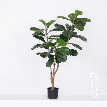 Artificial Fiddle Leaf Fig Tree Potted Bonsai Ficus Lyrata Green Plant Indoor Decoration Buy Fiddle Leaf Fig Plant Ficus Lyrata Plant Artificial Ficus Bonsai Product On Alibaba Com,Kids Dictionary Template