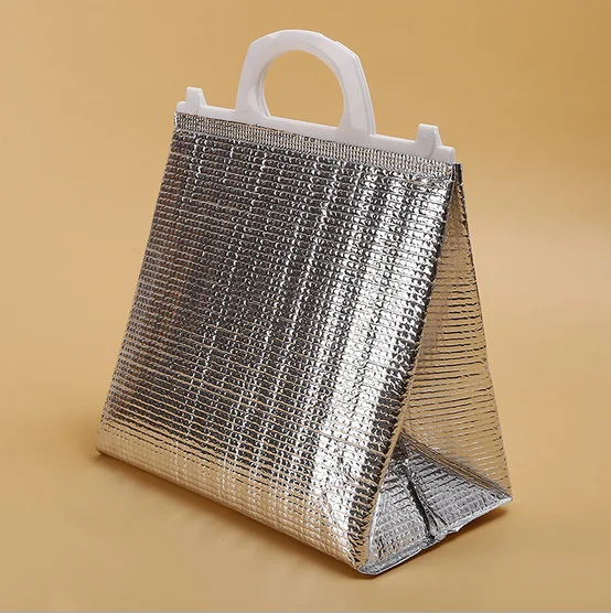 Top Quality Outdoors Picnic Insulated Freezer Bag For Travel Product On Alibaba