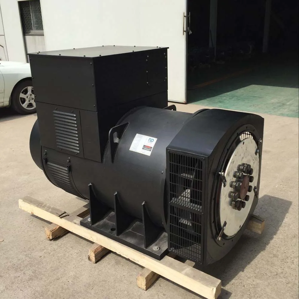 Stamford Type High Quality Generator Head 1 Mw With Pmg Buy Generator