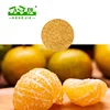 Hot sale Chinese mandarin orange sacs for orange juice/jam/jam material
