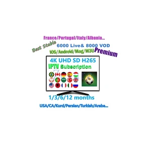 IPTV Subscription 1 3 6 or 12 Months Access