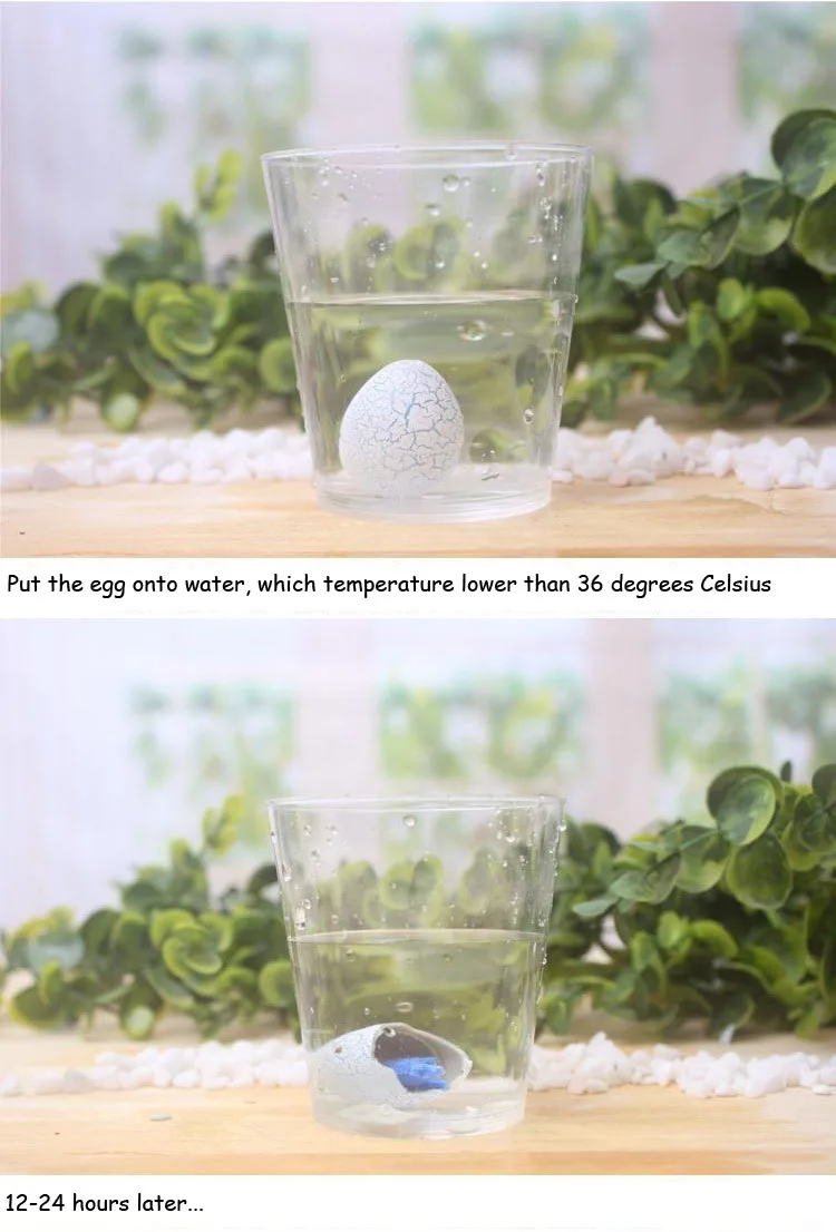 dinosaur egg dissolve in water