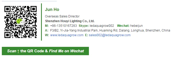 Contact.png