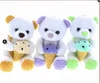5" Color Ice Cream Teddy Bear