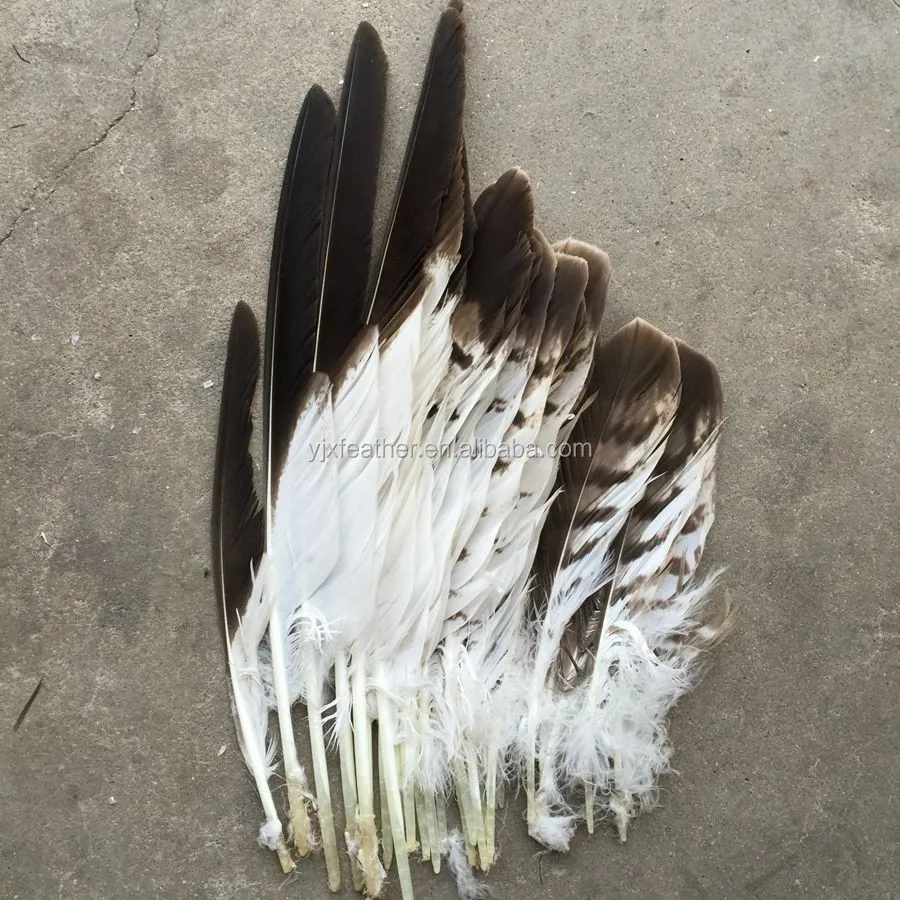 feathers for sale