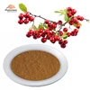 Pure leaf fruit Flavonoids whitethorn extract powder hawthorn berry extract