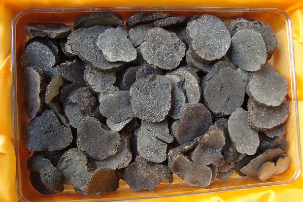Detan Dry Sliced Black Truffle For Dried Mushrooms Buyers ...
