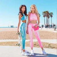 

Hot Sale 2Pcs Women Yoga Sets Fitness Seamless Sexy Sports bra Yoga Pants Legging Gym Workout Jogging Dance Sports Wear