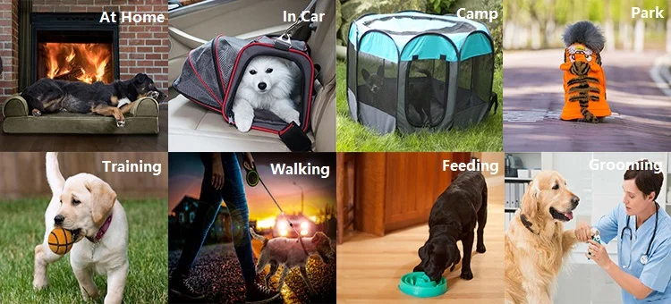 Applications.jpg