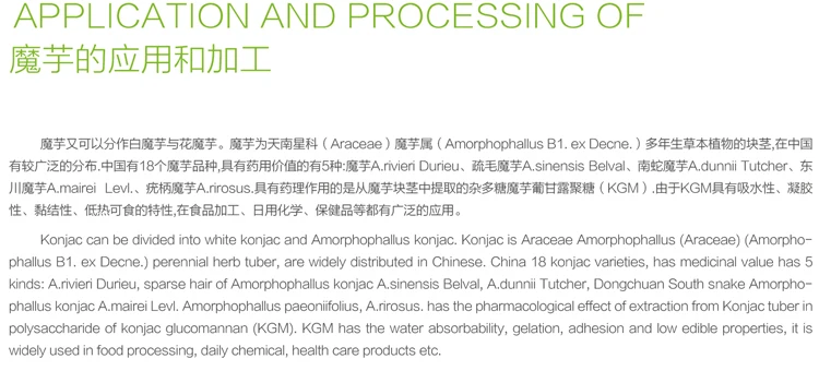 product pictures 5.jpg