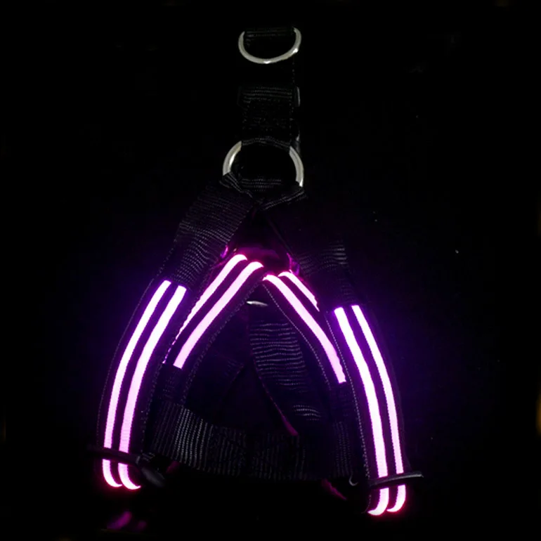 2019 Amazon Top Sell Pet Training Products Type Glowing At Light Led