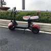 MAG Suspension 48V/60V 20AH 1000W Eagle Electric