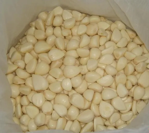 IQF PEELED GARLIC.jpg