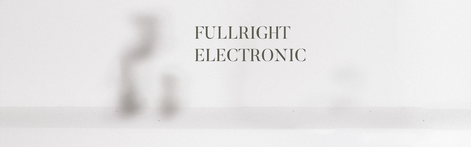 Ningbo Fullright Electronic Co., Ltd. - night lamp, Design Service Offered