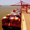 shipping cost container sea freight rates from china to dubai