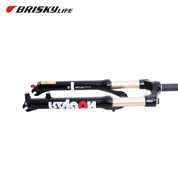 suspension suntour raidon 29