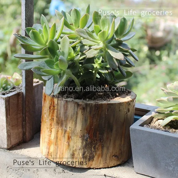 Creativo decoración jardÃn flores hechas a mano extractor de ...