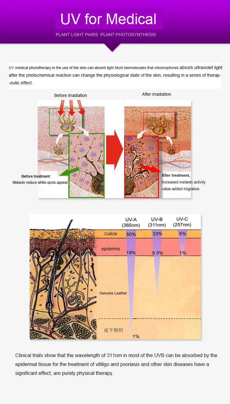 4085368418_1987930460
