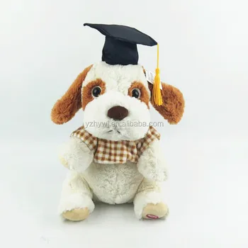 graduation stuffed dog