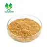 Good reputation manufacturer Gymnema Sylvestre Seed Extract 25% Gymnemic Acids Gymnema Sylvestre Extract with the high quality a