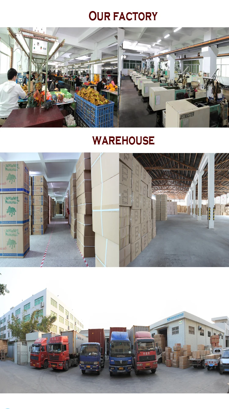 Company information2