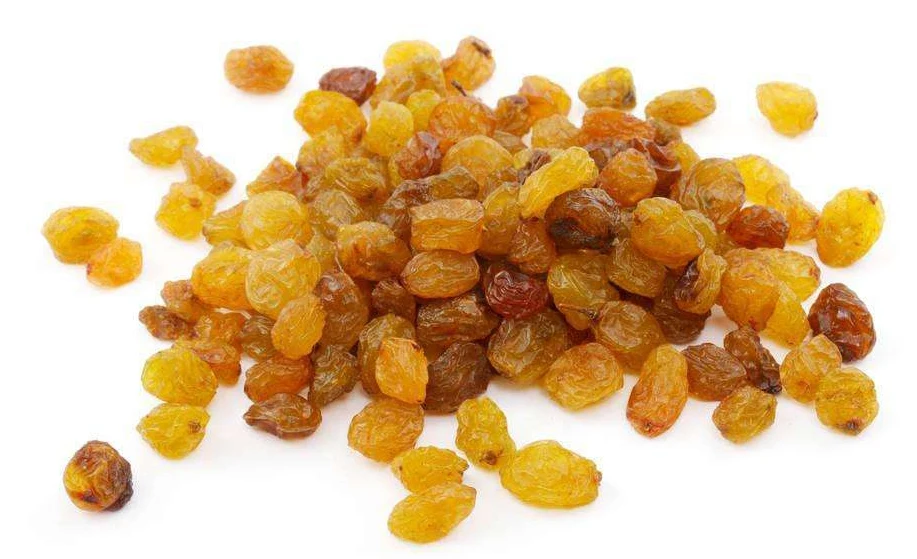 Low price wholesale sultana golden raisins dried jumbo raisin