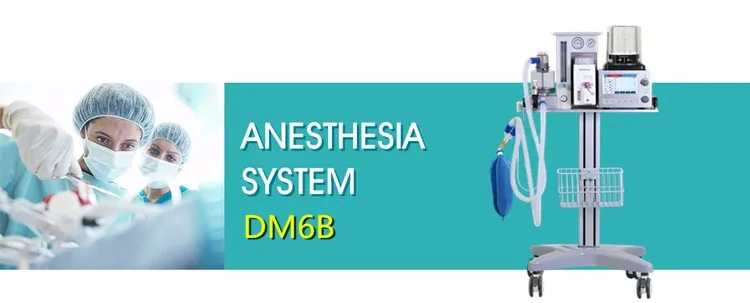 DM6B