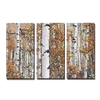 SEEGART 3 panels yellow Birch forest trees picture custom printed canvas painting for living room