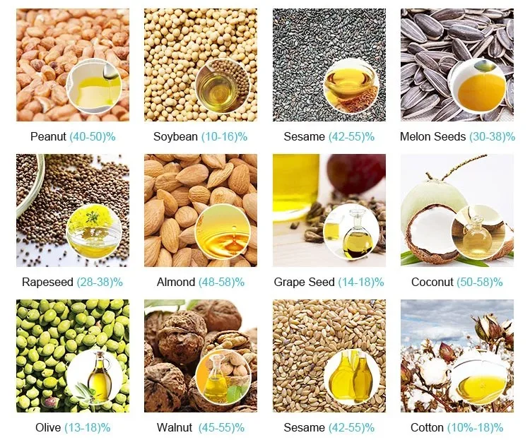 High Quality Oil Making Machine Coconut Oil Machine Prices In Sri Lanka