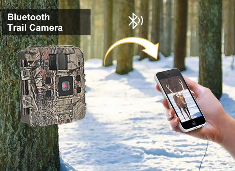 rohs digital trail camera