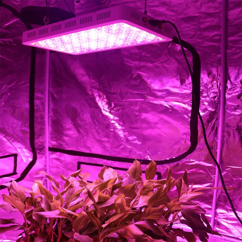 紅色藍色白色紫外線 ir hydroponic 植物生長燈 led 生長燈 1000w 200