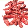 most popular to South Korean frozen Beijing red pepper chilli