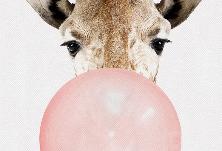 可爱的动物吹泡泡帆布绘画苗圃墙艺术打印图片为孩子们的房间家居装饰