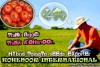 TOP QUALITY HYBRID TOMATO SEEDS (THINK BIGGER ,THINK US! )