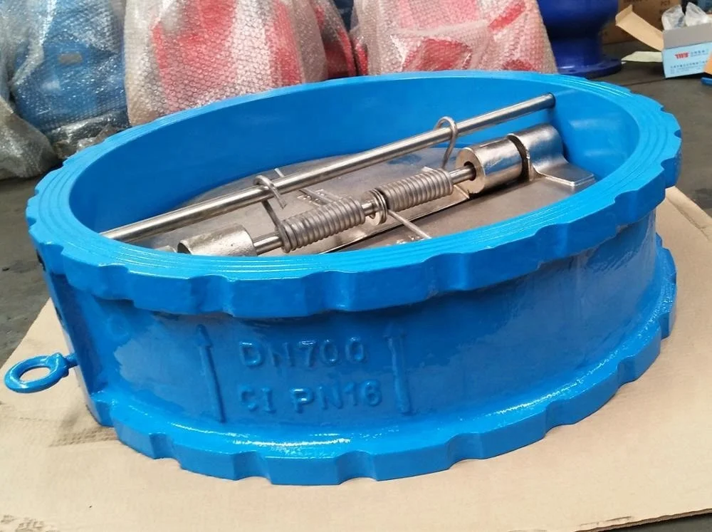 DN700 PN10 check valve (1).jpg
