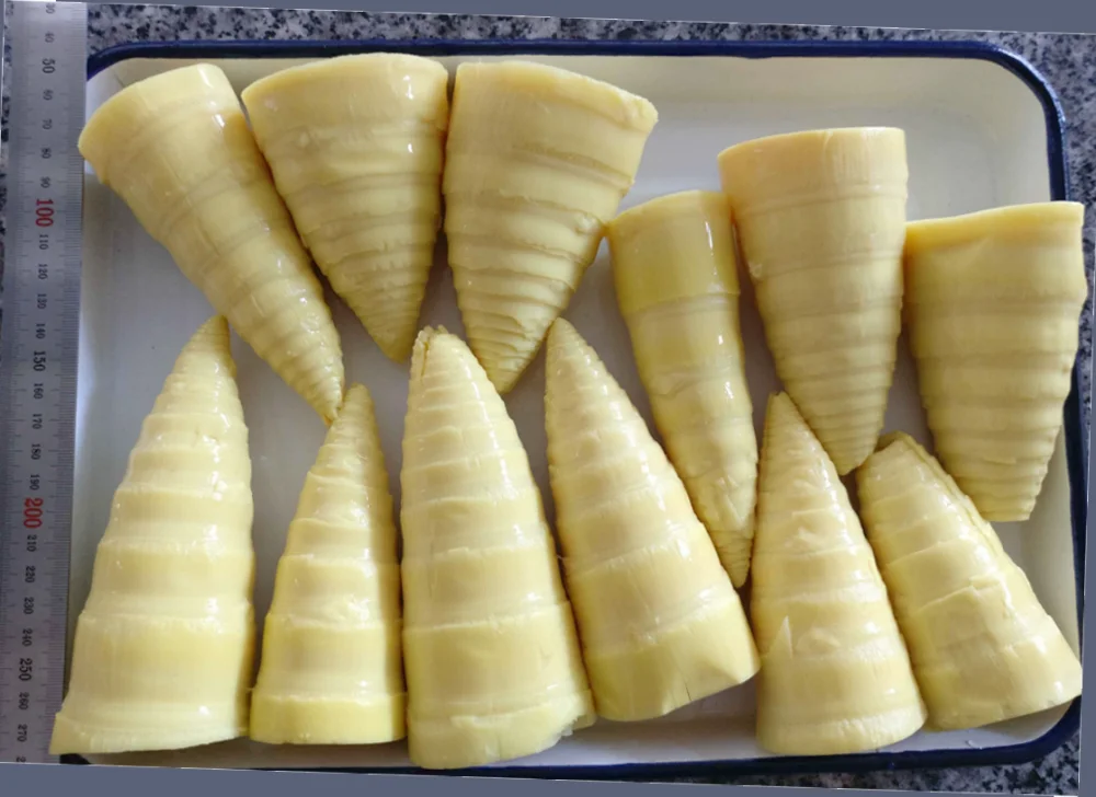 Canned Bamboo Shoot Strip Buy Canned Bamboo Shoot Slices,Canned