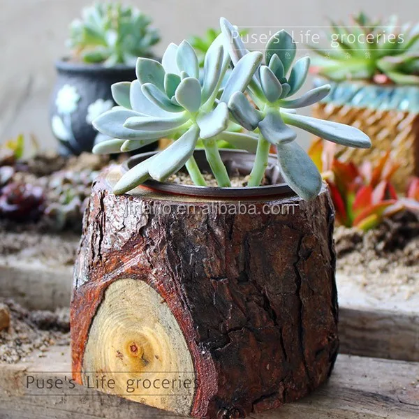 Creativo decoración jardÃn flores hechas a mano extractor de ...