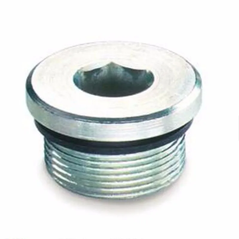 M20 M24 Steel Galvanized Hex Socket Oil Pipe Plug Screw Plug Din908