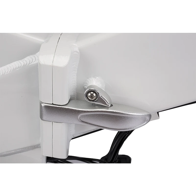 20inch Aluminum alloy frame folding electric bicycle 36V 250W electric foldable bike