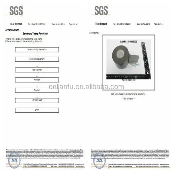 sgs11.jpg